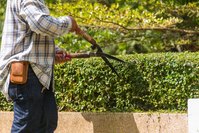 Garden Maintenance Addlestone, New Haw, Woodham, KT15